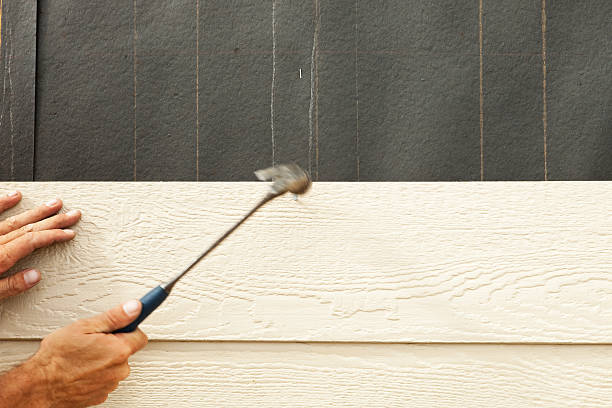 Best Vinyl Siding Installation  in Tecumseh, NE